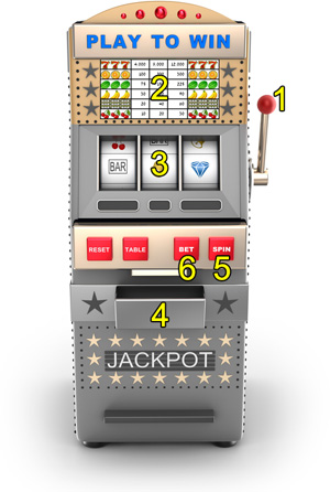 How to Play Video Slots