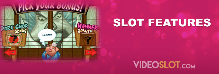 Slot Features