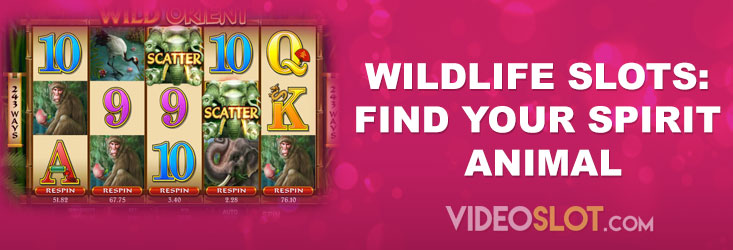 Wildlife Slots: Find Your Spirit Animal