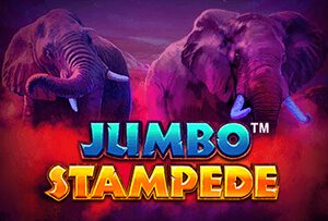 Jumbo Stampede slot review