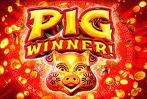 Pig Winner slot review